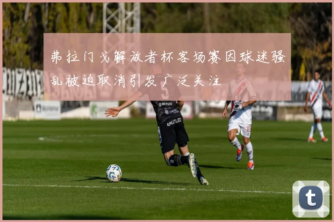 弗拉门戈解放者杯客场赛因球迷骚乱被迫取消引发广泛关注